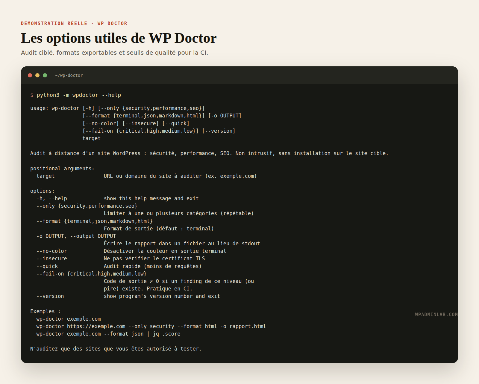 Options de la commande WP Doctor pour un audit WordPress